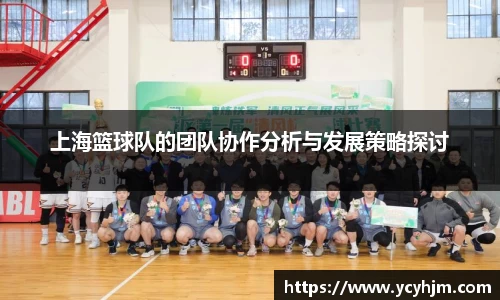 上海篮球队的团队协作分析与发展策略探讨